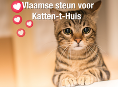 Extra steun voor dierenasiel in Ekeren